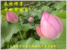 Published on 9/18/2013 ֹ,½󷨵ӹףʦ(34)
