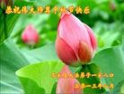 Published on 9/19/2013 ֹ,ʯׯ󷨵ӹףʦ(30)
