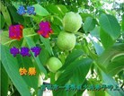 Published on 9/18/2013 ֹ,д󷨵ӹףʦ(20)
