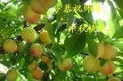 Published on 9/18/2013 ֹ,½󷨵ӹףʦ(46)
