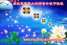 Published on 9/18/2013 ֹ,½󷨵ӹףʦ(46)
