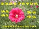Published on 9/19/2013 ֹ,ҵ󷨵ӹףʦ(48)
