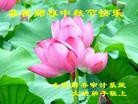 Published on 9/19/2013 ֹ,ҵ󷨵ӹףʦ(48)
