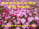 Published on 9/19/2013 ֹ,ҵ󷨵ӹףʦ(48)
