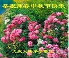 ֹ,󷨵ӹףʦ(20)
