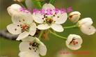 Published on 9/18/2013 ֹ,½󷨵ӹףʦ(37)
