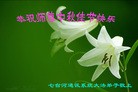 Published on 9/19/2013 ֹ,ҵ󷨵ӹףʦ(48)
