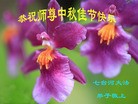 Published on 9/18/2013 ֹ,½󷨵ӹףʦ(37)
