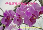 Published on 9/19/2013 ֹ,ҵ󷨵ӹףʦ(48)
