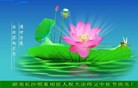Published on 9/19/2013 ֹ,ҵ󷨵ӹףʦ(48)
