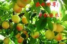Published on 9/18/2013 ֹ,½󷨵ӹףʦ(43)
