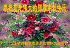 Published on 9/19/2013 ֹ,ϵͳ󷨵ӹףʦ(23)
