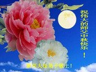 Published on 9/18/2013 ֹ,½󷨵ӹףʦ(43)
