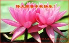 Published on 9/19/2013 ֹ,ҵ󷨵ӹףʦ(48)
