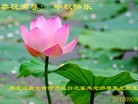 Published on 9/18/2013 ֹ,½󷨵ӹףʦ(43)
