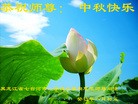 Published on 9/18/2013 ֹ,½󷨵ӹףʦ(43)
