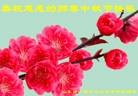 Published on 9/18/2013 ֹ,½󷨵ӹףʦ(45)
