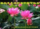 Published on 9/18/2013 ֹ,󷨵ӹףʦ(25)
