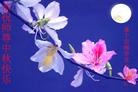 Published on 9/18/2013 ֹ,½󷨵ӹףʦ(39)
