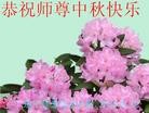 Published on 9/18/2013 ֹ,½󷨵ӹףʦ(39)
