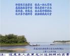 Published on 9/18/2013 ֹ,½󷨵ӹףʦ(42)
