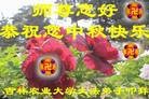 Published on 9/19/2013 ֹ,ϵͳ󷨵ӹףʦ(23)
