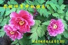 Published on 9/18/2013 ֹ,½󷨵ӹףʦ(43)
