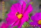 Published on 9/19/2013 ֹ,«󷨵ӹףʦ(23)
