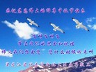 Published on 9/18/2013 ֹ,½󷨵ӹףʦ(37)
