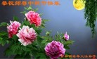 Published on 9/18/2013 ֹ,½󷨵ӹףʦ(37)
