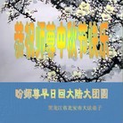 Published on 9/18/2013 ֹ,½󷨵ӹףʦ(37)
