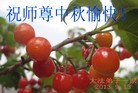 Published on 9/18/2013 ֹ,½󷨵ӹףʦ(37)
