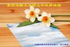 Published on 9/19/2013 ֹ,˹ףʦ(73)
