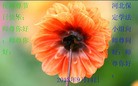 Published on 9/19/2013 ֹ,½󷨵ӹףʦ(65)
