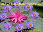 Published on 9/19/2013 ֹ,½󷨵ӹףʦ(42)
