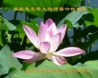 Published on 9/19/2013 ֹ,½󷨵ӹףʦ(42)
