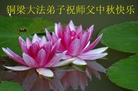 Published on 9/19/2013 ֹ,½󷨵ӹףʦ(44)
