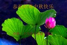 Published on 9/19/2013 ֹ,½󷨵ӹףʦ(57)
