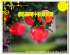 Published on 9/19/2013 ֹ,ǷѺĴ󷨵ӹףʦ(22)
