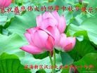Published on 9/19/2013 ֹ,½󷨵ӹףʦ(30)
