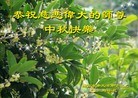 Published on 9/19/2013 ֹ,½󷨵ӹףʦ(35)
