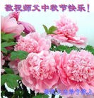 Published on 9/19/2013 ֹ,½󷨵ӹףʦ(44)
