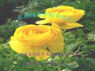Published on 9/19/2013 ֹ,½󷨵ӹףʦ(32)

