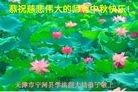 Published on 9/19/2013 ֹ,½󷨵ӹףʦ(32)
