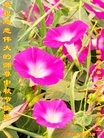 Published on 9/19/2013 ֹ,½󷨵ӹףʦ(32)
