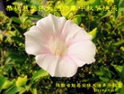 Published on 9/19/2013 ֹ,½󷨵ӹףʦ(32)
