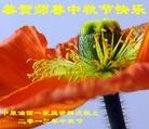 Published on 9/19/2013 ֹ,½󷨵ӹףʦ(32)
