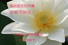 Published on 9/19/2013 ֹ,½󷨵ӹףʦ(54)
