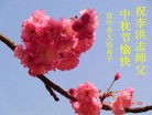 Published on 9/19/2013 ֹ,½󷨵ӹףʦ(35)
