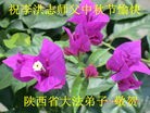 Published on 9/19/2013 ֹ,½󷨵ӹףʦ(35)
